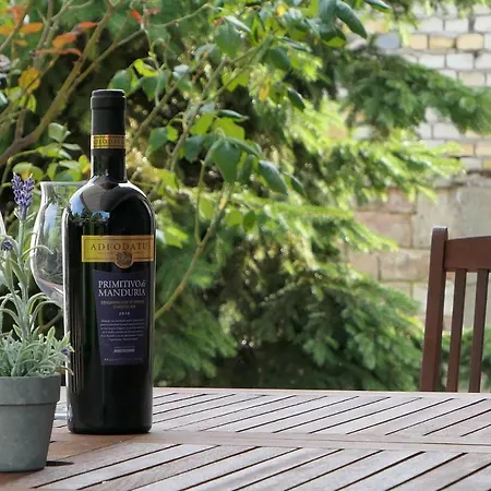 בית נופש Step88