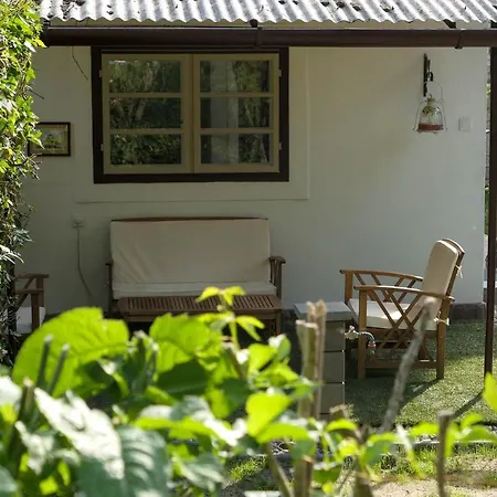 Step88 * Balatonlelle